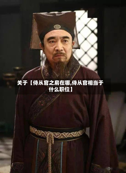 关于【侍从官之肩在哪,侍从官相当于什么职位】-第3张图片