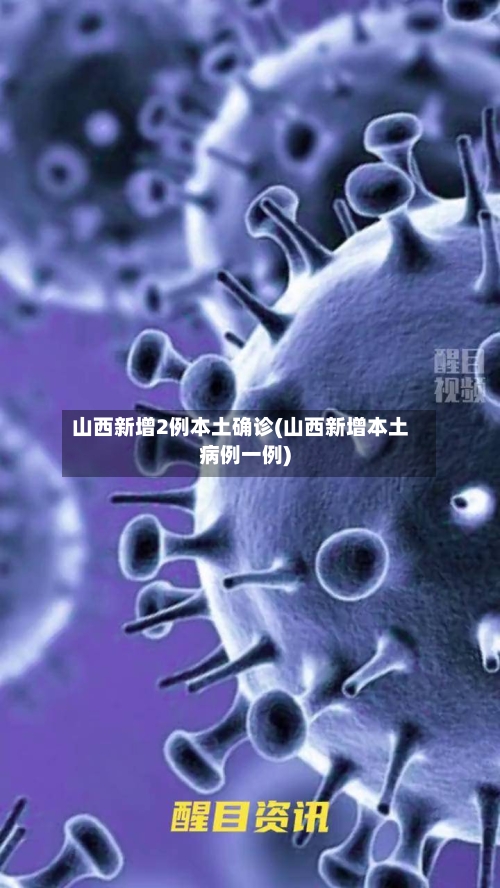山西新增2例本土确诊(山西新增本土病例一例)-第2张图片