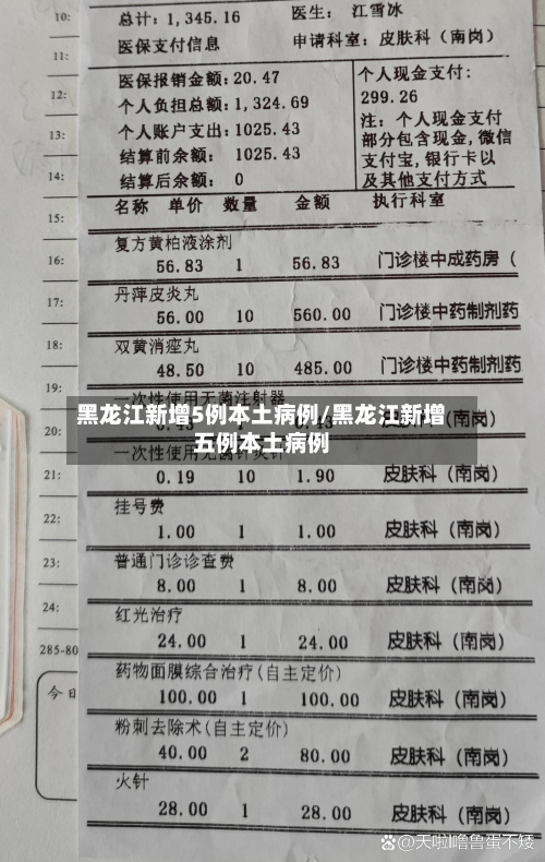 黑龙江新增5例本土病例/黑龙江新增五例本土病例