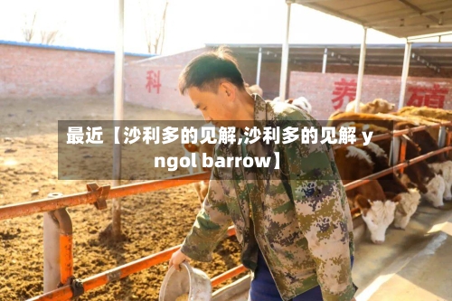 最近【沙利多的见解,沙利多的见解 yngol barrow】