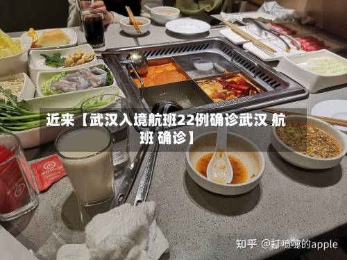 近来【武汉入境航班22例确诊武汉 航班 确诊】-第2张图片