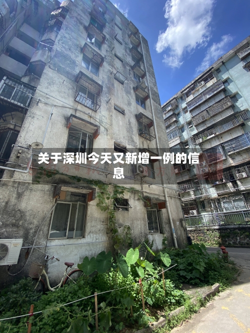 关于深圳今天又新增一例的信息-第3张图片