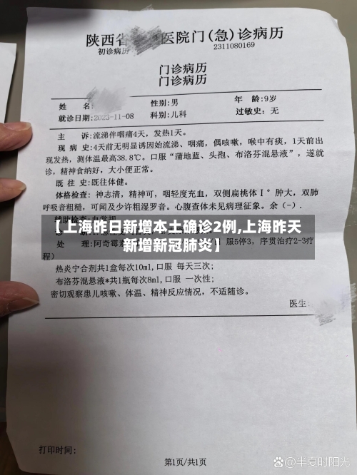 【上海昨日新增本土确诊2例,上海昨天新增新冠肺炎】-第3张图片