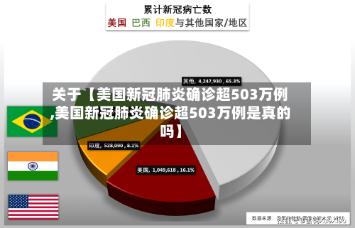 关于【美国新冠肺炎确诊超503万例,美国新冠肺炎确诊超503万例是真的吗】-第2张图片