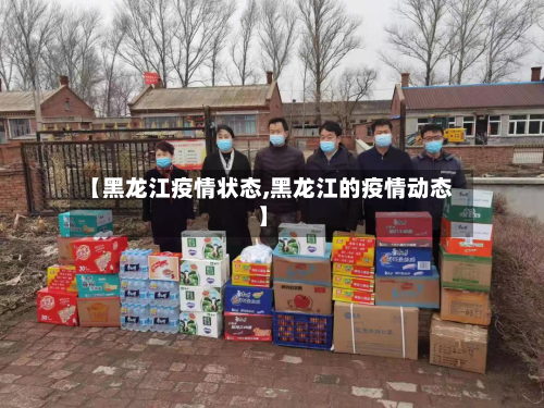 【黑龙江疫情状态,黑龙江的疫情动态】