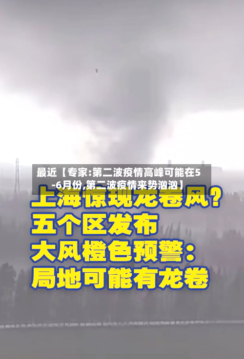 最近【专家:第二波疫情高峰可能在5-6月份,第二波疫情来势汹汹】-第2张图片