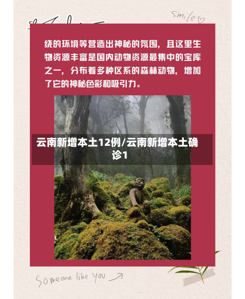 云南新增本土12例/云南新增本土确诊1