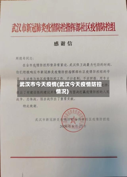 武汉市今天疫情(武汉今天疫情防控情况)-第3张图片