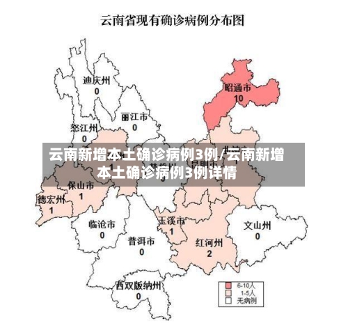 云南新增本土确诊病例3例/云南新增本土确诊病例3例详情-第3张图片