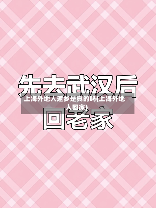 上海外地人返乡是真的吗(上海外地人回家)-第2张图片