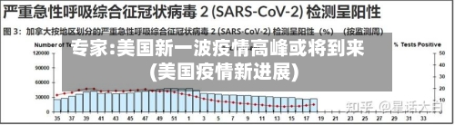 专家:美国新一波疫情高峰或将到来(美国疫情新进展)-第3张图片