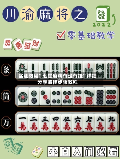 实测教程”七星麻将有没有挂”详细分享装挂步骤教程-第2张图片