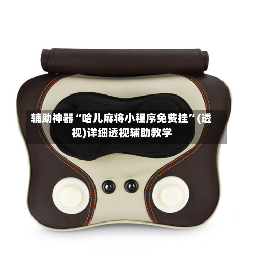 辅助神器“哈儿麻将小程序免费挂”(透视)详细透视辅助教学-第3张图片