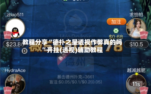 教程分享“德扑之星透视作弊真的吗”开挂(透视)辅助教程-第2张图片