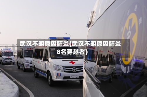 武汉不明原因肺炎(武汉不明原因肺炎8名穿越者)-第2张图片