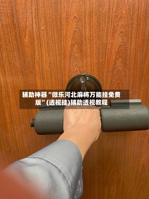 辅助神器“微乐河北麻将万能挂免费版”(透视挂)辅助透视教程