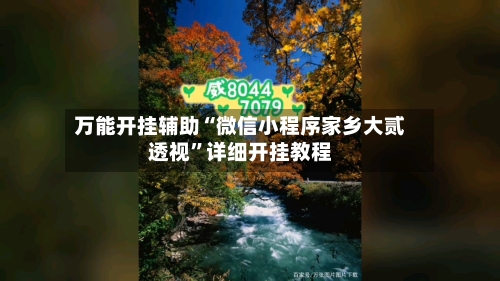 万能开挂辅助“微信小程序家乡大贰透视”详细开挂教程-第2张图片