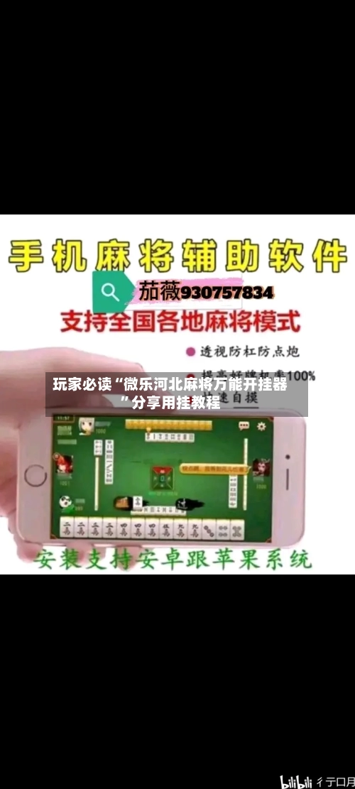 玩家必读“微乐河北麻将万能开挂器”分享用挂教程-第3张图片