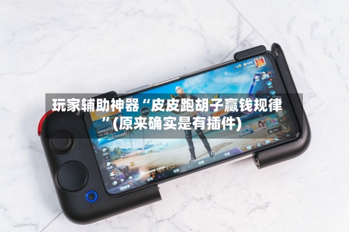 玩家辅助神器“皮皮跑胡子赢钱规律”(原来确实是有插件)-第2张图片