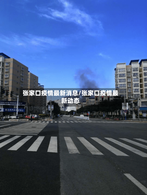 张家口疫情最新消息/张家口疫情最新动态