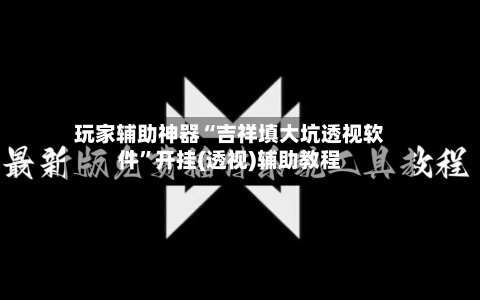玩家辅助神器“吉祥填大坑透视软件”开挂(透视)辅助教程-第2张图片