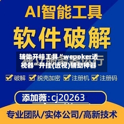辅助开挂工具“wepoker透视器”开挂(透视)辅助神器-第2张图片