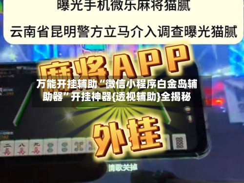 万能开挂辅助“微信小程序白金岛辅助器”开挂神器{透视辅助}全揭秘