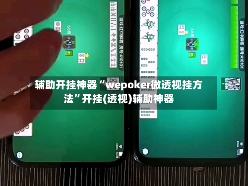辅助开挂神器“wepoker微透视挂方法	”开挂(透视)辅助神器-第2张图片
