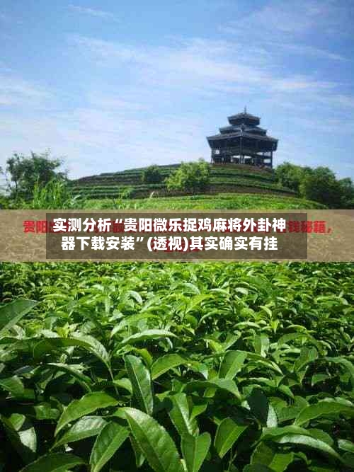 实测分析“贵阳微乐捉鸡麻将外卦神器下载安装”(透视)其实确实有挂-第3张图片