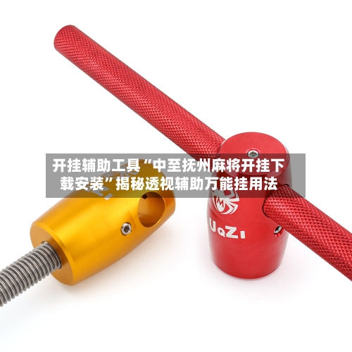 开挂辅助工具“中至抚州麻将开挂下载安装	”揭秘透视辅助万能挂用法-第3张图片