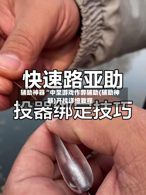 辅助神器“中至游戏作弊辅助(辅助神器)开挂详细教程
