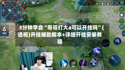 3分钟学会“哥哥打大a可以开挂吗	”(透视)开挂辅助脚本+详细开挂安装教程-第2张图片