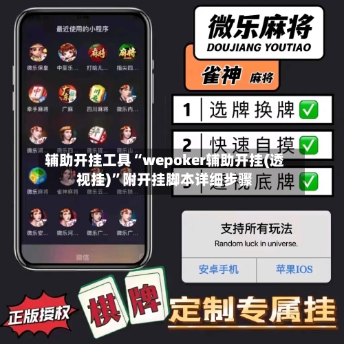 辅助开挂工具“wepoker辅助开挂(透视挂)”附开挂脚本详细步骤-第2张图片