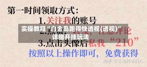 实操教程“白金岛跑得快透视(透视)”详细开挂玩法