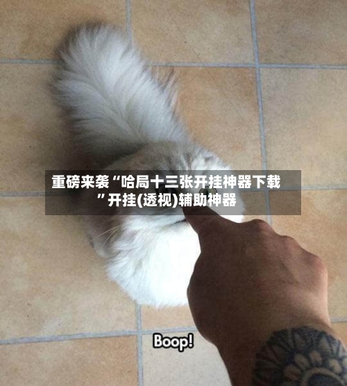 重磅来袭“哈局十三张开挂神器下载”开挂(透视)辅助神器