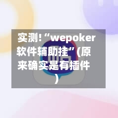 实测!“wepoker软件辅助挂”(原来确实是有插件)